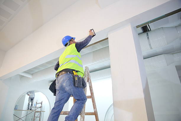 Vinita Park, MO Mold Removal Company